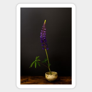 Lupine Still Life Sticker